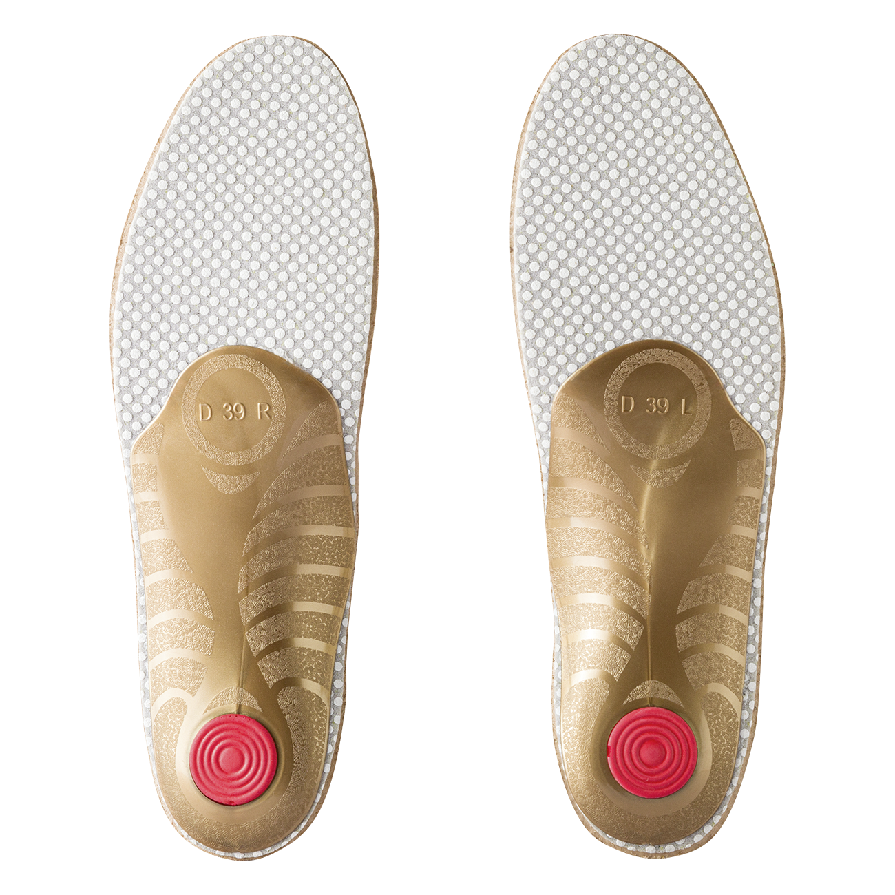BERGAL EVOLUTION SUPPORT DAMEN BERGAL EVOLUTION SUPPORT DAMEN